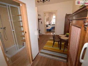 Pronájem bytu 1+1, Praha - Vinohrady, Jana Masaryka, 43 m2