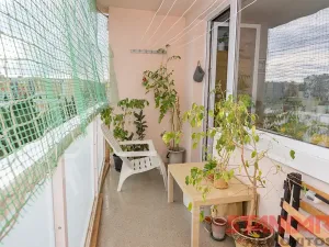 Pronájem bytu 1+kk, Plzeň, Tachovská, 34 m2