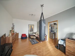 Prodej bytu 3+1, Jindřichův Hradec, Hvězdná, 67 m2