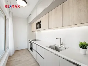 Pronájem bytu 1+kk, Praha - Žižkov, Malešická, 36 m2