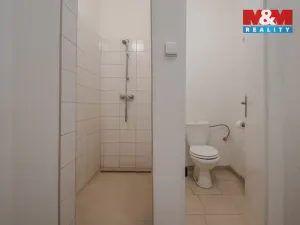 Pronájem obchodního prostoru, Ostrava - Proskovice, Staroveská, 246 m2