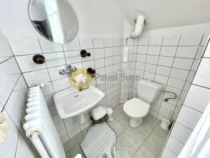 Prodej apartmánu, Dřešín - Hořejšice, 510 m2