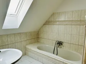 Pronájem bytu 4+kk, Plzeň - Jižní Předměstí, Mánesova, 145 m2