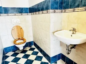 Pronájem bytu 4+kk, Plzeň - Jižní Předměstí, Mánesova, 145 m2