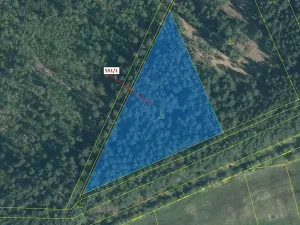 Dražba lesa, Suchdol nad Lužnicí, 9131 m2