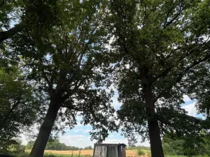 Prodej pozemku pro bydlení, Bavorov - Svinětice, 1396 m2