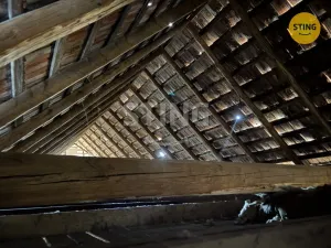 Prodej rodinného domu, Brodek u Konice, 1595 m2