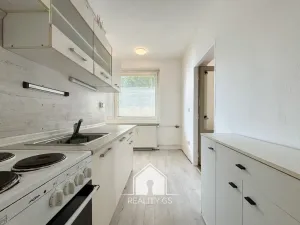 Pronájem bytu 1+1, Jílové, Družstevní, 30 m2