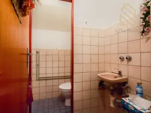 Pronájem obchodního prostoru, Polepy, 1200 m2