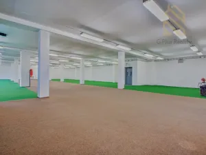 Pronájem obchodního prostoru, Polepy, 1200 m2