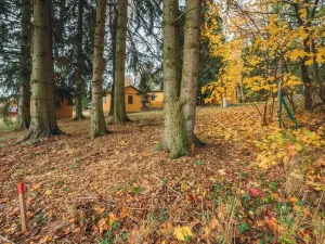 Prodej pozemku pro bydlení, Seč, 313 m2