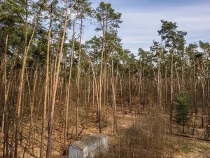 Prodej pozemku pro bydlení, Hradištko, Kersko, 4600 m2