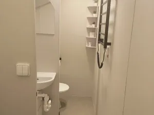 Pronájem bytu 1+kk, České Budějovice - České Budějovice 3, Pekárenská, 21 m2