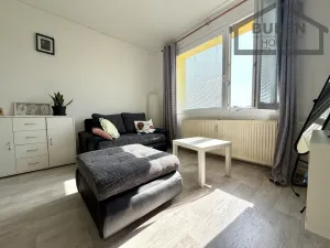 Pronájem bytu 1+1, Tachov, Želivského, 38 m2