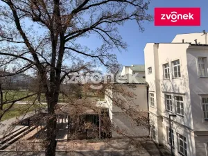 Pronájem kanceláře, Zlín, Školní, 50 m2