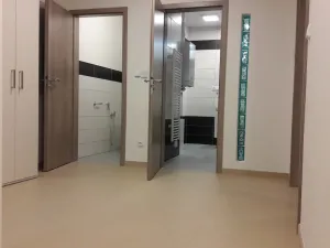 Pronájem bytu 2+kk, Rajhradice, Opatovická, 76 m2