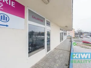 Pronájem obchodního prostoru, Ostrava, Výškovická, 49 m2