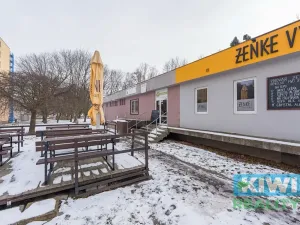 Pronájem obchodního prostoru, Ostrava, Maďarská, 44 m2