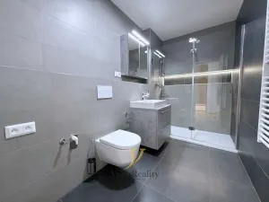 Pronájem bytu 1+kk, Olomouc, Ostrovní, 43 m2