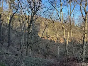 Prodej bytu 4+1, Třinec, Sosnová, 80 m2