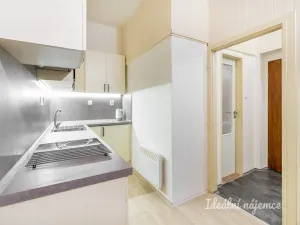 Pronájem bytu 1+1, Praha - Vršovice, Sevastopolská, 43 m2