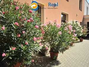 Pronájem bytu 1+1, Olomouc, Chválkovická, 55 m2