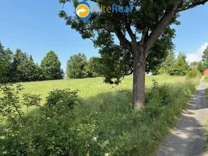 Prodej pozemku pro bydlení, Razová, 1345 m2