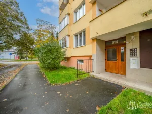 Pronájem bytu 1+1, Sokolov, Švabinského, 45 m2