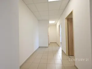 Pronájem bytu 2+kk, Plzeň, Tisová, 70 m2