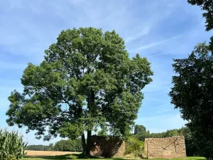 Prodej chalupy, Ratboř, 161 m2