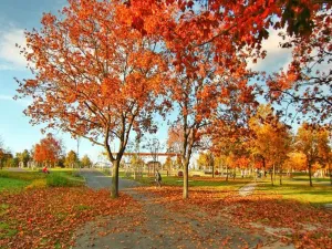 Prodej bytu 2+1, Praha - Strašnice, U krbu, 52 m2