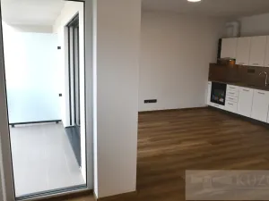 Pronájem bytu 1+kk, Plzeň, Pilařská, 43 m2