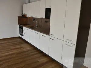 Pronájem bytu 1+kk, Plzeň, Pilařská, 43 m2