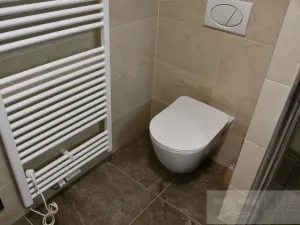 Pronájem bytu 1+kk, Plzeň, Pilařská, 43 m2