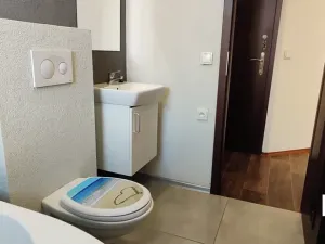 Pronájem bytu 1+kk, Olomouc, Schweitzerova, 25 m2