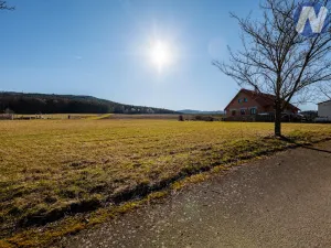 Prodej pozemku pro bydlení, Brloh - Rojšín, 3148 m2