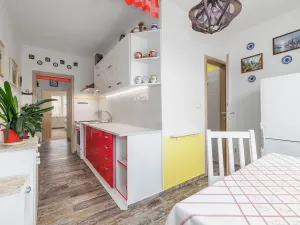 Prodej bytu 2+1, České Budějovice, Puklicova, 64 m2