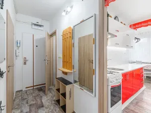 Prodej bytu 2+1, České Budějovice, Puklicova, 64 m2