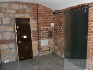 Pronájem bytu 2+kk, Plzeň, Mánesova, 60 m2