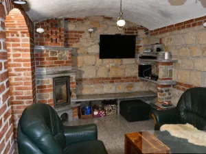 Pronájem bytu 2+kk, Plzeň, Mánesova, 60 m2