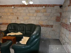 Pronájem bytu 2+kk, Plzeň, Mánesova, 60 m2