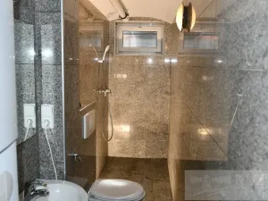 Pronájem bytu 2+kk, Plzeň, Mánesova, 60 m2