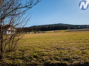 Prodej pozemku pro bydlení, Brloh - Rojšín, 1045 m2