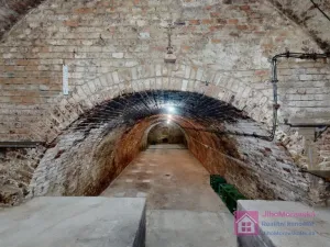 Prodej vinného sklepa, Velké Bílovice, U Školky, 125 m2