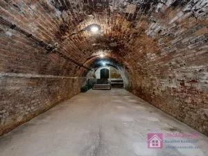 Prodej vinného sklepa, Velké Bílovice, U Školky, 125 m2