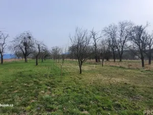 Prodej zahrady, Bystřice pod Hostýnem, 1250 m2