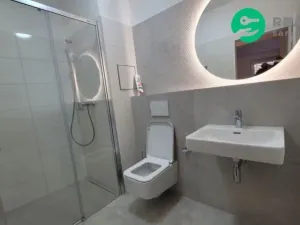 Prodej bytu 1+kk, Brno, Francouzská, 20 m2