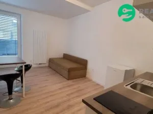 Prodej bytu 1+kk, Brno, Francouzská, 20 m2