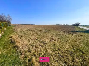 Prodej pozemku pro bydlení, Podomí, 25000 m2