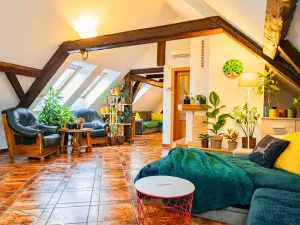 Prodej atypického bytu, Praha - Nové Město, Havlíčkova, 295 m2